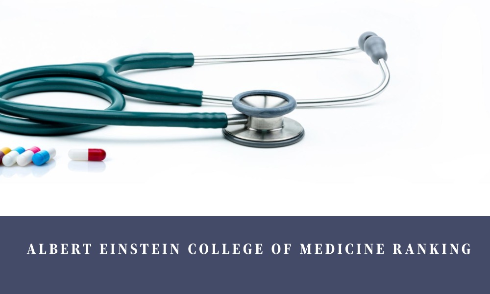 Albert Einstein College Of Medicine Ranking | Healthy B Daily